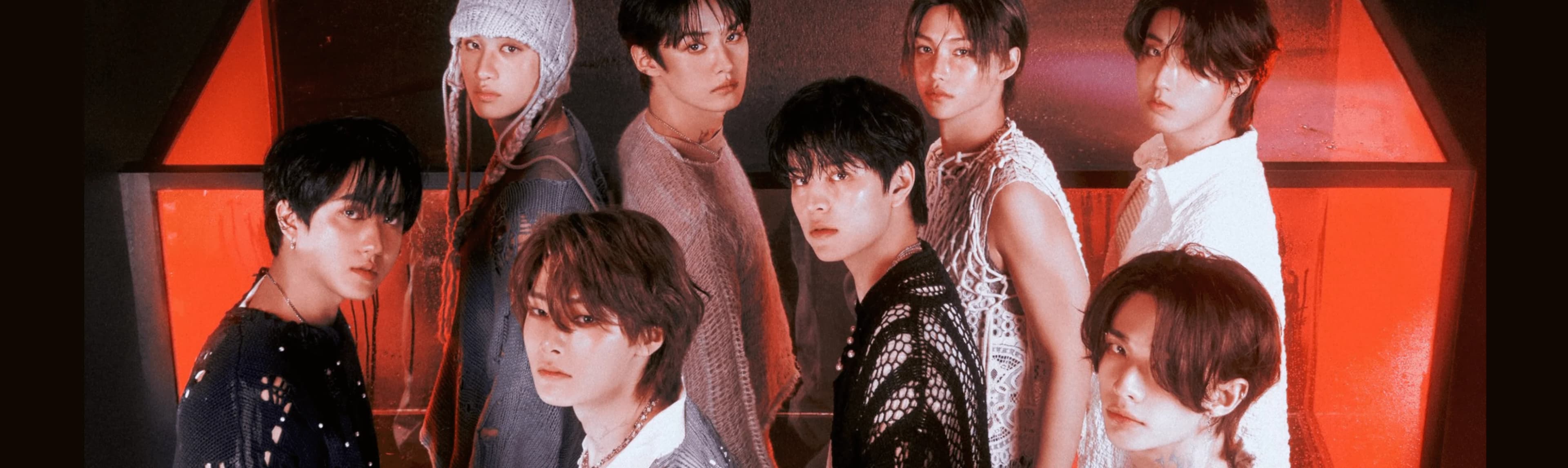 Stray Kids Fandom banner
