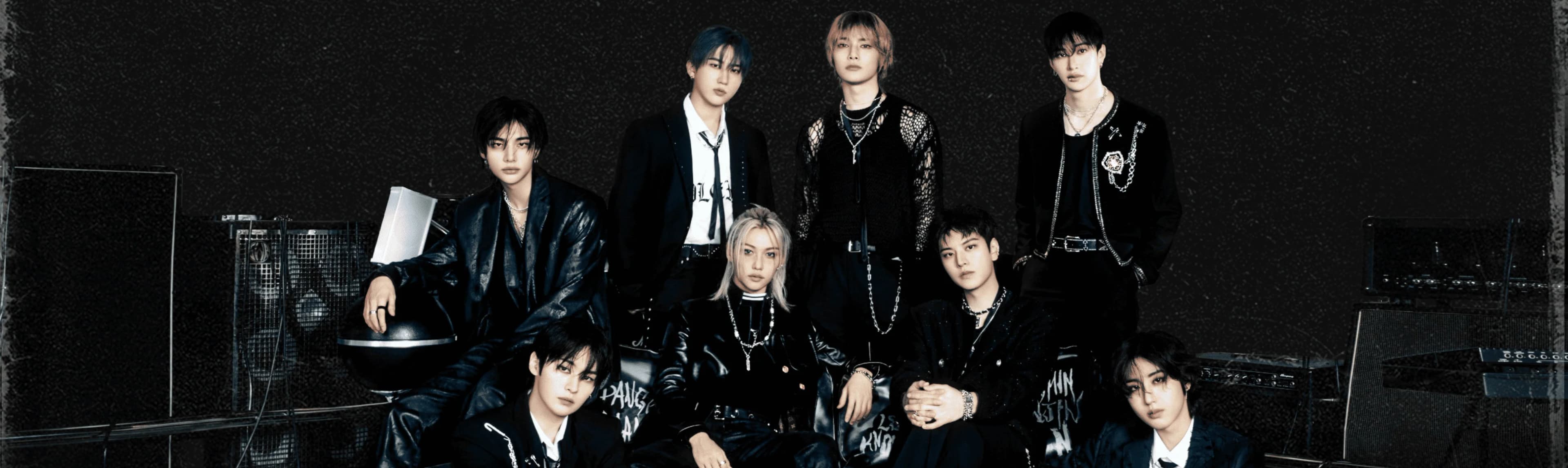 Stray Kids Fandom banner