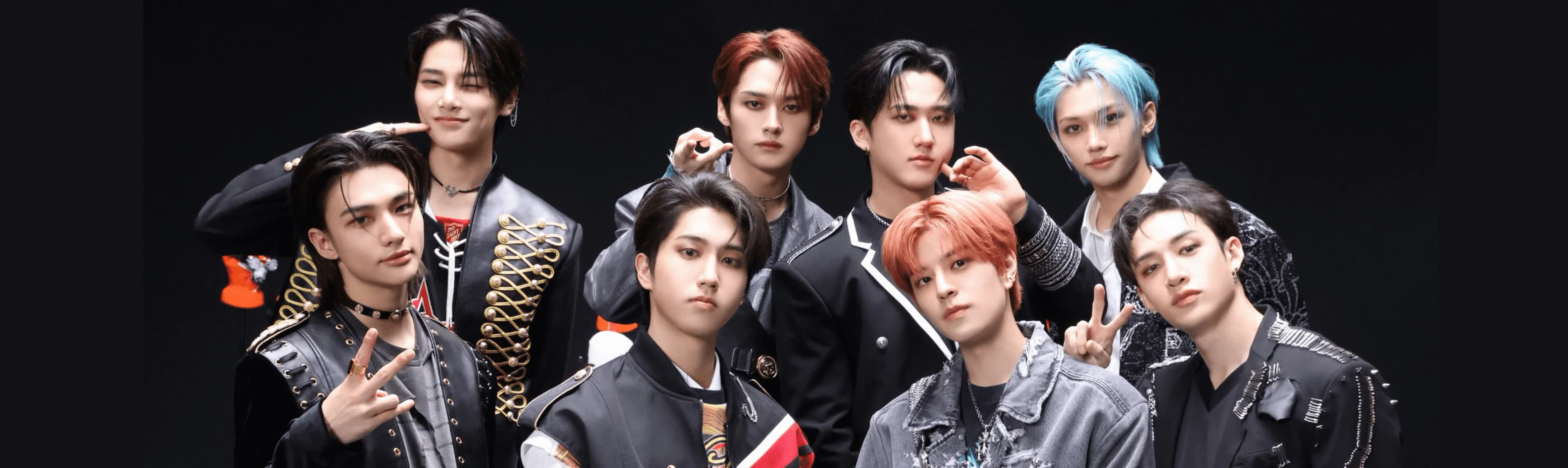Stray Kids Fandom banner