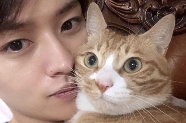 See how much you know about Lee Know's cats.
